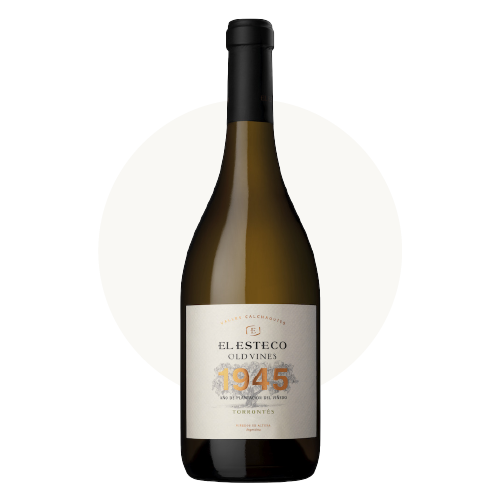 Old Vines Torrontes, El Esteco | 2023